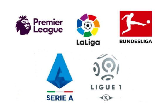 还构建了一 还构建了一